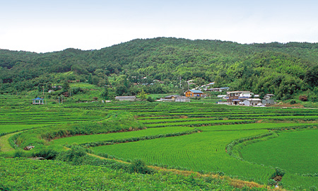 14군둔리